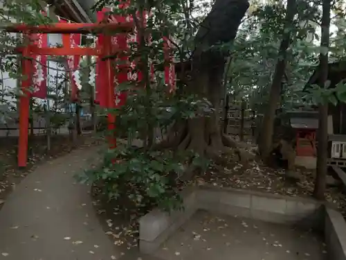 座間神社の鳥居