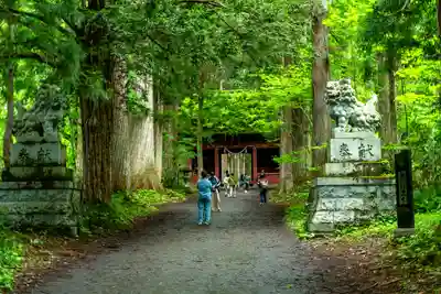 戸隠神社奥社(長野県)