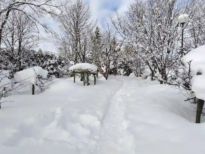 美瑛神社の自然