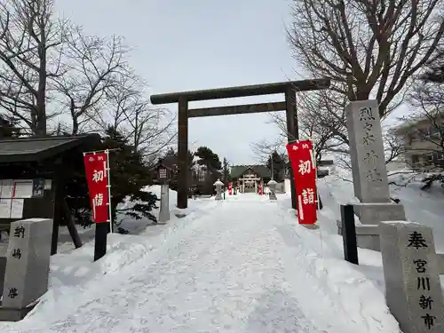 烈々布神社の初詣