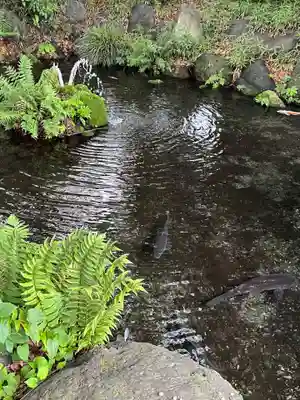秩父今宮神社(埼玉県)
