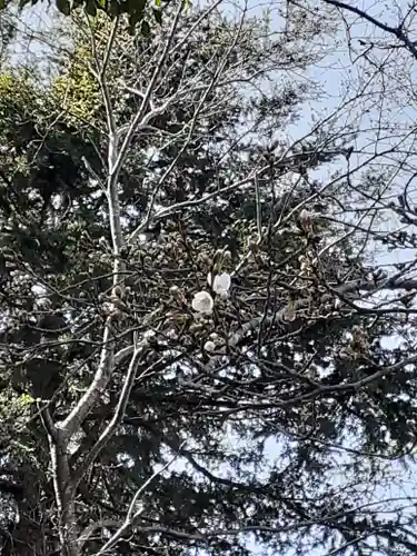 千勝神社の自然