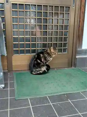 白山神社(東京都)
