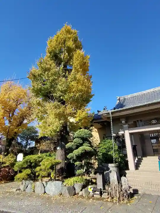 密蔵院のその他建物