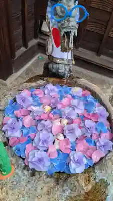 御井神社の手水舎