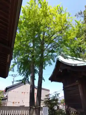 杉杜白髭神社(福井県)