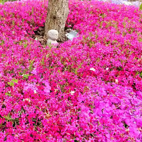 寿量山　速成寺の庭園