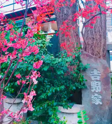 波除神社（波除稲荷神社）のその他建物