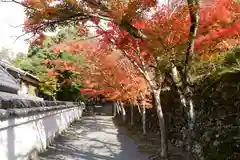 神峯山寺(大阪府)