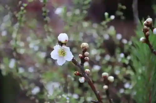 滑川神社 - 仕事と子どもの守り神の授与品その他