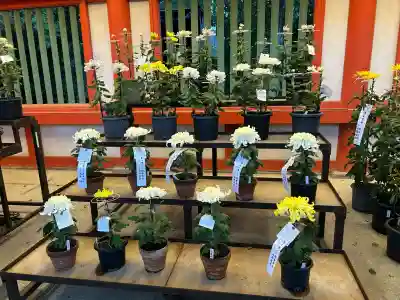 武蔵一宮氷川神社(埼玉県)
