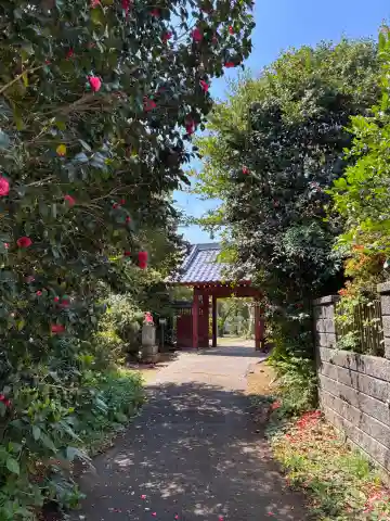 広寿寺(千葉県)