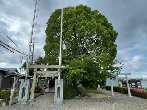 野村神社の{uncategorized: "未分類", other: "その他", undefined: "問題あり", building: "その他建物", grave: "お墓", sacred_gate: "鳥居", guardian: "狛犬", statue: "像", buddha: "仏像", history: "歴史", nature: "自然", garden: "庭園", animal: "動物", pagoda: "塔", temizu: "手水舎", mountain_gate: "山門・神門", sanctuary: "本殿・本堂", subordinate: "末社・摂社", art: "芸術", scenery: "景色", jizo: "地蔵", ema: "絵馬", goshuin: "御朱印", omikuji: "おみくじ", items: "授与品その他", amulet: "お守り", goshuincho: "御朱印帳", eats: "食事", festival: "お祭り", votive_dance: "神楽", shichigosan: "七五三参", wedding: "結婚式", experience: "体験その他", initially: "初詣", around: "周辺", anti_infection: "感染症対策"}