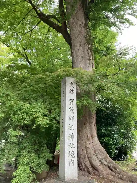 賀茂御祖神社(下鴨神社)の{uncategorized: "未分類", other: "その他", undefined: "問題あり", building: "その他建物", grave: "お墓", sacred_gate: "鳥居", guardian: "狛犬", statue: "像", buddha: "仏像", history: "歴史", nature: "自然", garden: "庭園", animal: "動物", pagoda: "塔", temizu: "手水舎", mountain_gate: "山門・神門", sanctuary: "本殿・本堂", subordinate: "末社・摂社", art: "芸術", scenery: "景色", jizo: "地蔵", ema: "絵馬", goshuin: "御朱印", omikuji: "おみくじ", items: "授与品その他", amulet: "お守り", goshuincho: "御朱印帳", eats: "食事", festival: "お祭り", votive_dance: "神楽", shichigosan: "七五三参", wedding: "結婚式", experience: "体験その他", initially: "初詣", around: "周辺", anti_infection: "感染症対策"}