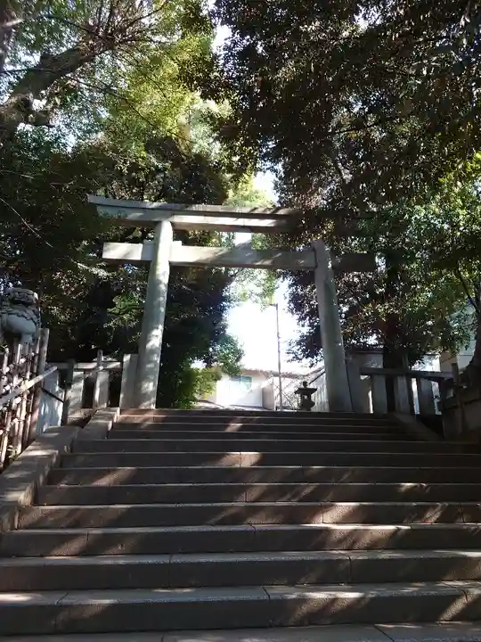 渋谷氷川神社(東京都)