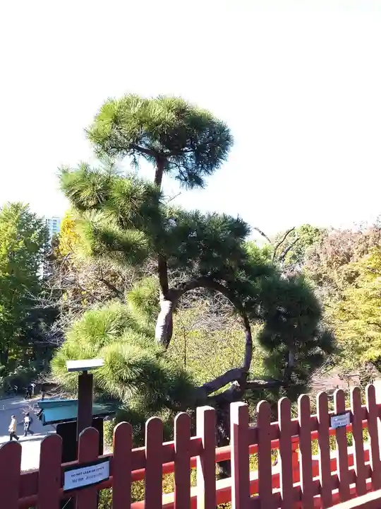 清水観音堂(東京都)