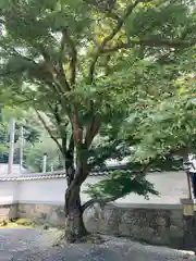 地蔵院の山門