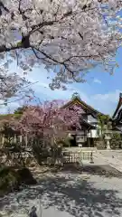 妙顯寺（妙顕寺）(京都府)