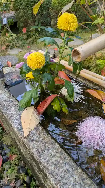 宝蔵寺(京都府)