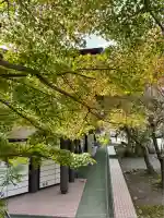 鎌倉宮(神奈川県)