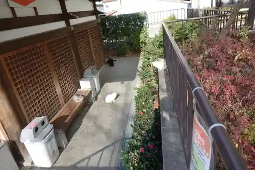 石切劔箭神社のその他建物