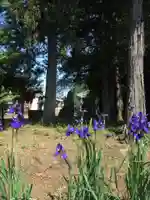 伏木香取神社(茨城県)