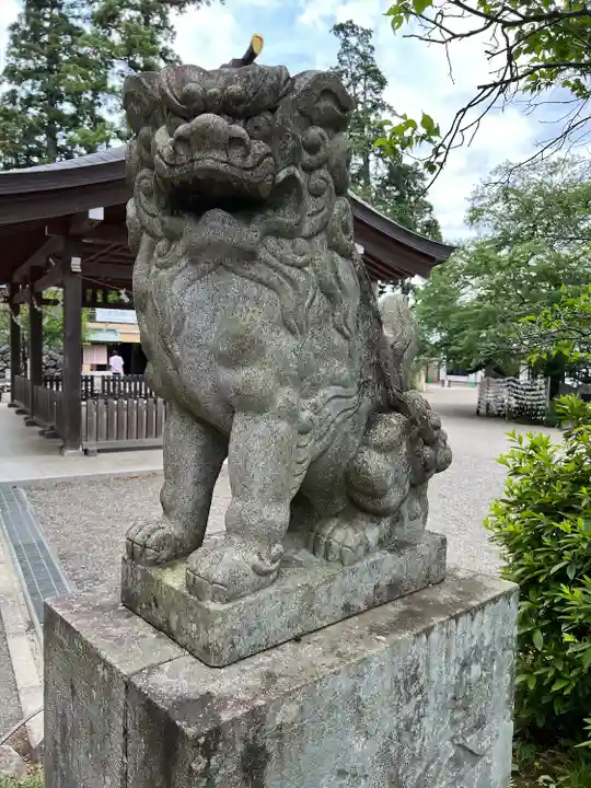 高麗神社の狛犬
