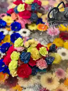 札幌諏訪神社の手水舎(2026年01月16日(金) 09時33分49秒投稿)