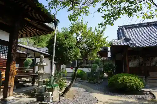 存光寺の庭園