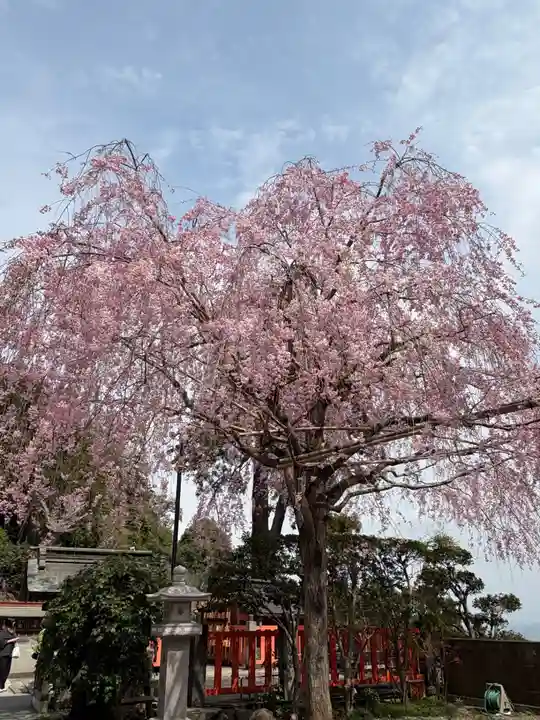 太平山神社(栃木県)