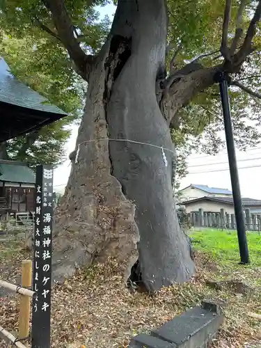 湯福神社(長野県)
