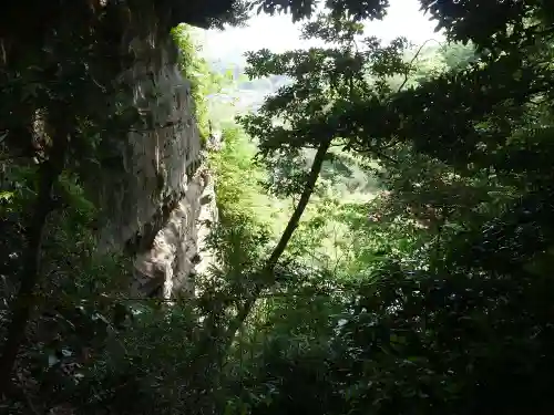 葛原岡神社の自然
