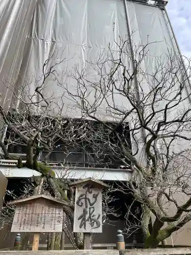 太宰府天満宮(福岡県)