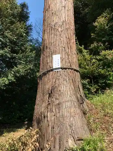 三社神社の末社