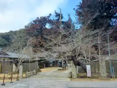 一乗寺のその他建物