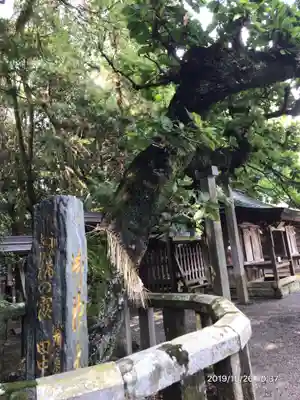 宗像大社のその他建物