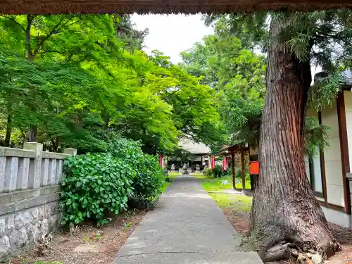 智識寺(長野県)