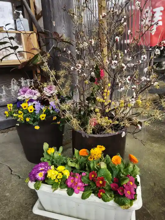 高司神社〜むすびの神の鎮まる社〜(福島県)