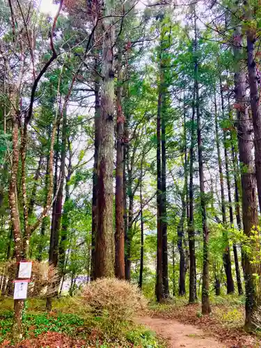 伊保田神社(茨城県)
