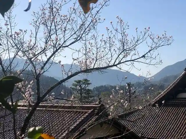 木舟山 順教寺(広島県)