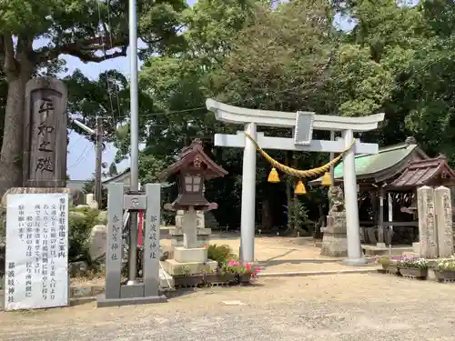 都波岐奈加等神社の鳥居