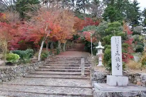 正法寺の自然