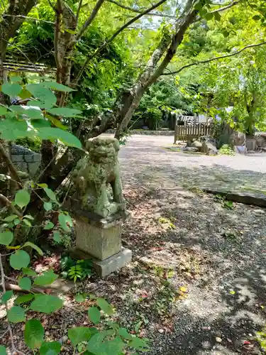 藤白神社の狛犬