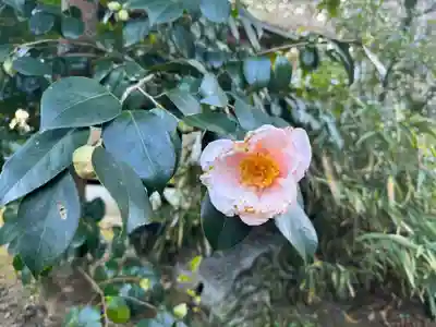 伊勢の国 四天王寺(三重県)