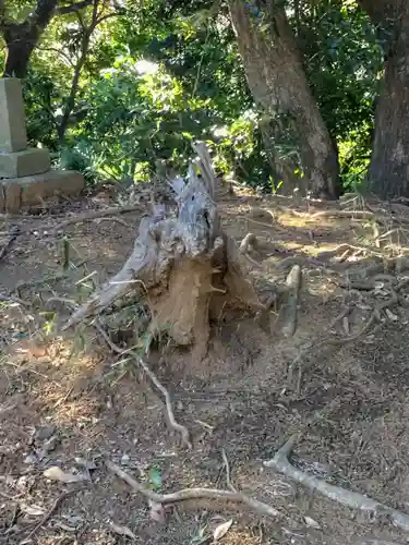 浅間神社(茨城県)