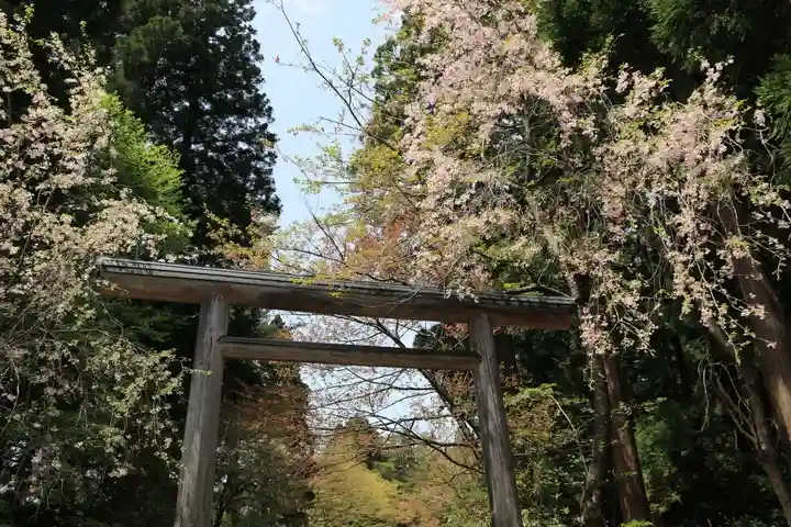 土津神社|こどもと出世の神さまの鳥居