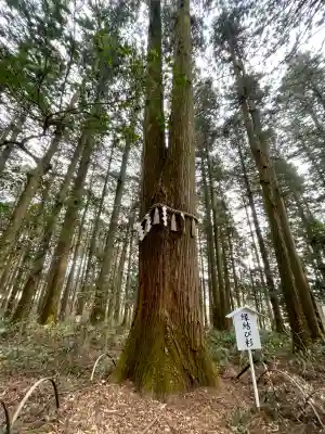 岩戸別神社の{uncategorized: "未分類", other: "その他", undefined: "問題あり", building: "その他建物", grave: "お墓", sacred_gate: "鳥居", guardian: "狛犬", statue: "像", buddha: "仏像", history: "歴史", nature: "自然", garden: "庭園", animal: "動物", pagoda: "塔", temizu: "手水舎", mountain_gate: "山門・神門", sanctuary: "本殿・本堂", subordinate: "末社・摂社", art: "芸術", scenery: "景色", jizo: "地蔵", ema: "絵馬", goshuin: "御朱印", omikuji: "おみくじ", items: "授与品その他", amulet: "お守り", goshuincho: "御朱印帳", eats: "食事", festival: "お祭り", votive_dance: "神楽", shichigosan: "七五三参", wedding: "結婚式", experience: "体験その他", initially: "初詣", around: "周辺", anti_infection: "感染症対策"}
