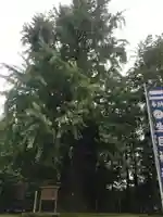 生目神社の自然