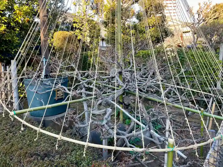 経王寺(東京都)