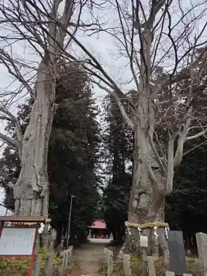 智賀都神社(栃木県)